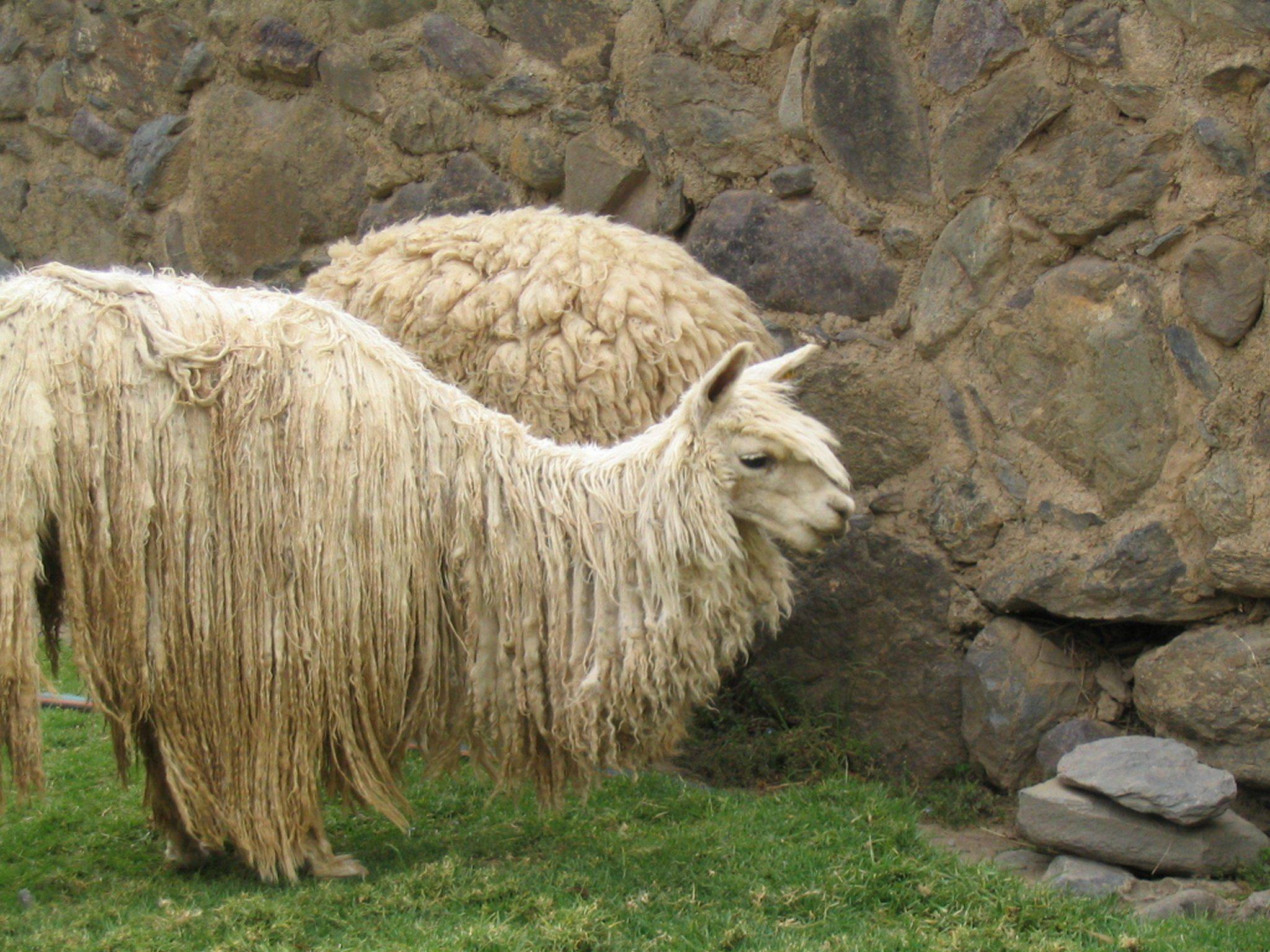 picture of us in Ollantaytambo