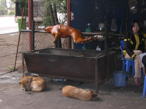 Vietnam Image 426