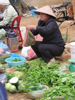 vietnam image 86