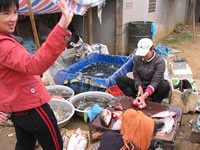 vietnam image 87