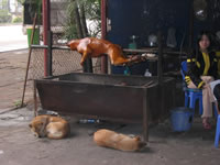 vietnam image 426