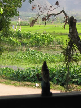 vietnam image 33