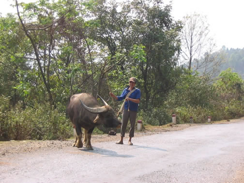 vietnam image 136