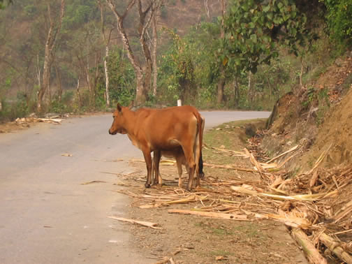 vietnam image 224