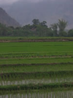 vietnam image 41