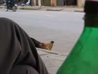 vietnam image 111