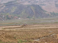 vietnam image 121