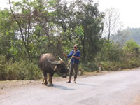 vietnam image 136