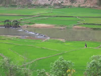 vietnam image 150