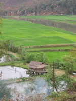 vietnam image 151