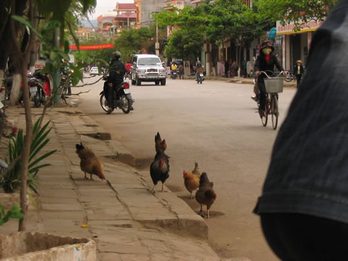 vietnam image 110