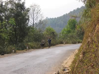 vietnam image 135