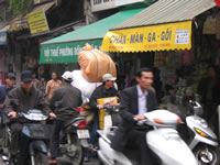 vietnam image 429